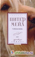 Собачья жизнь