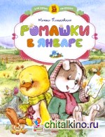 Ромашки в январе