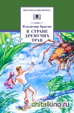 В стране дремучих трав