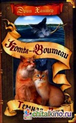 Темная река