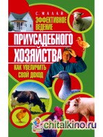 Эффективное ведение приусадебного хозяйства: Как увеличить свой доход