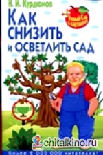 Как снизить и осветлить сад
