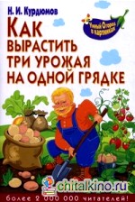 Как вырастить три урожая на одной грядке