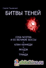 Битвы теней