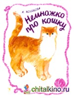 Немножко про кошку