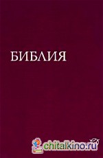 Библия: Современный русский перевод (1291)
