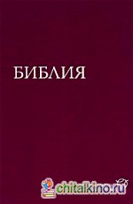 Библия: Современный русский перевод (1291)