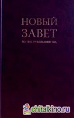 Новый Завет по тексту большинства (2049)