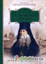 Что есть духовная жизнь и как на нее настроиться?