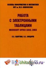 Работа с электронными таблицами: Microsoft Office Excel 2003