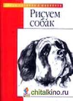 Рисуем собак