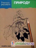Учитесь рисовать природу
