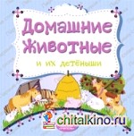 Домашние животные и их детеныши
