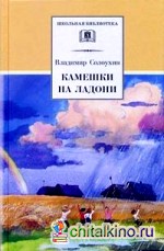 Камешки на ладони