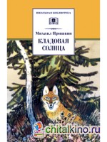 Кладовая солнца: Сказка-быль и рассказы