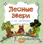 Лесные звери и их детеныши