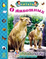 О животных: От мышки до слона