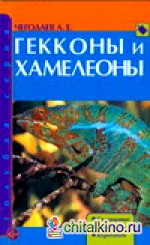 Гекконы и хамелеоны
