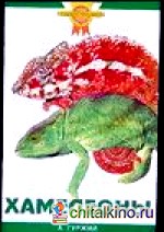 Хамелеоны