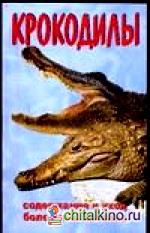 Крокодилы