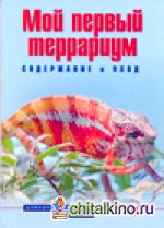 Мой первый террариум