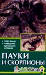Пауки и скорпионы
