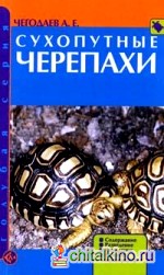 Сухопутные черепахи