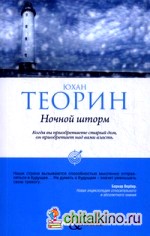 Ночной шторм