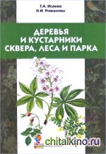 Деревья и кустарники сквера, леса и парка: Учебное пособие для детей младшего школьного возраста