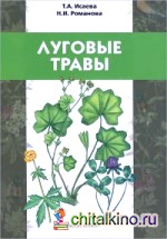 Луговые травы: Учебное пособие для детей младшего школьного возраста