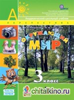 Окружающий мир: 3 класс. Учебник. ФГОС (+ CD-ROM; количество томов: 2)