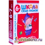 Полный годовой курс: 12 книг для занятий с детьми от 6 до 7 лет (количество томов: 12)