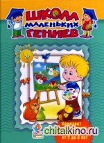 Школа маленьких гениев: Комплект для занятий с детьми от 2 до 3 лет. В 4-х книгах: Умные игры для маленьких гениев. Где это? Когда это? Моя семья. Мой дом. Поиграем в сказку (количество томов: 4)