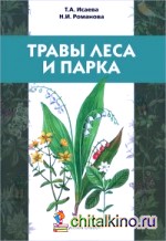 Травы леса и парка: Учебное пособие для детей младшего школьного возраста