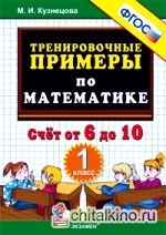 Тренировочные примеры по математике: 1 класс. Счет от 6 до 10. ФГОС