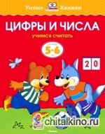 Цифры и числа (5-6 лет)