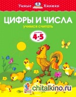 Цифры и числа: Для детей 4-5 лет