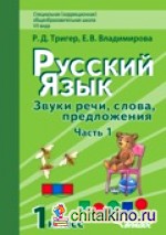 Русский язык: 1 класс. Звуки речи, слова, предложения. Учебник для специальных (коррекционных) образовательных учреждений VII вида. В 2-х частях. Часть 1