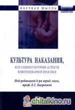 Культура наказания, или Социокультурные аспекты пенитенциарной практики