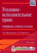 Уголовно-исполнительное право в вопросах, ответах и схемах: Учебное пособие