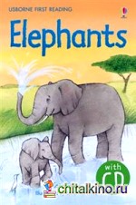Elephants (+ Audio CD)
