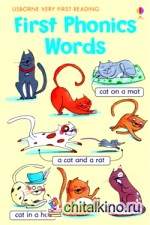 First Phonics Words
