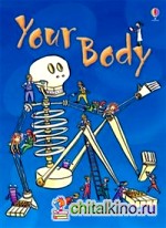 Your Body