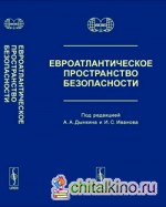 Евроатлантическое пространство безопасности