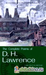 The Complete Poems of D: H. Lawrence