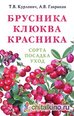 Брусника: Клюква. Красника