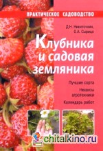 Клубника и садовая земляника