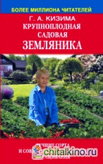 Крупноплодная садовая земляника: Лучшие сорта и современные технологии выращивания