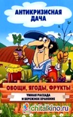 Овощи, ягоды, фрукты: Умная рассада и бережное хранение