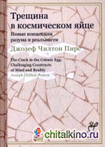 Трещина в космическом яйце: Новые концепции разума и реальности